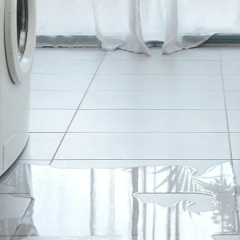 Appliance Leak Cleanup in Opelika, AL