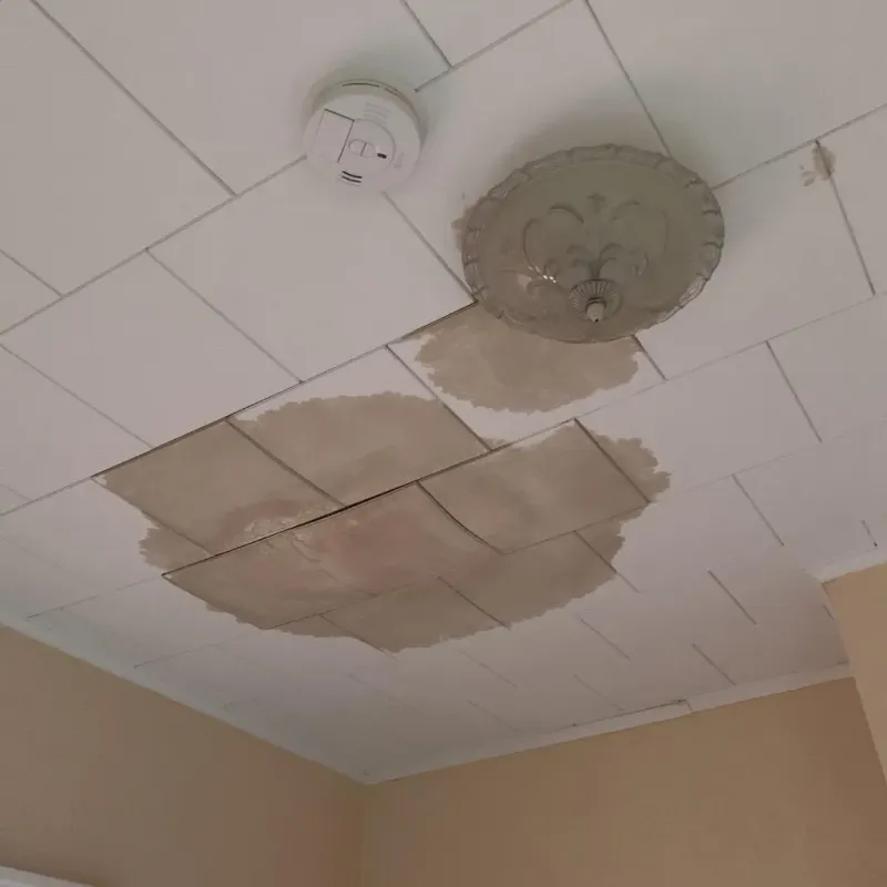 Ceiling Water Damage Repair in Opelika, AL